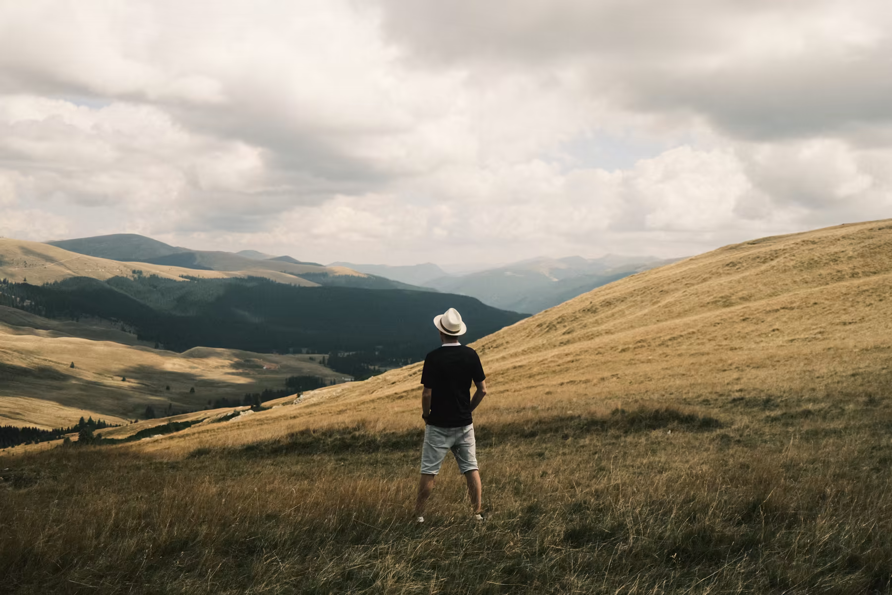 A man in a white hat looks out over golden hills and a wooded valley under heavy clouds