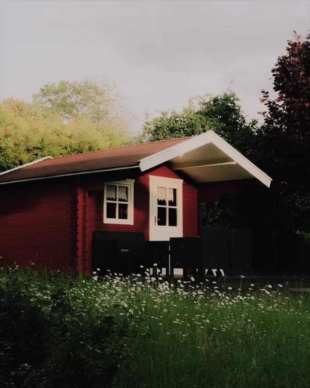A red wooden cabin in a summer garden with the Pro Neg Std look