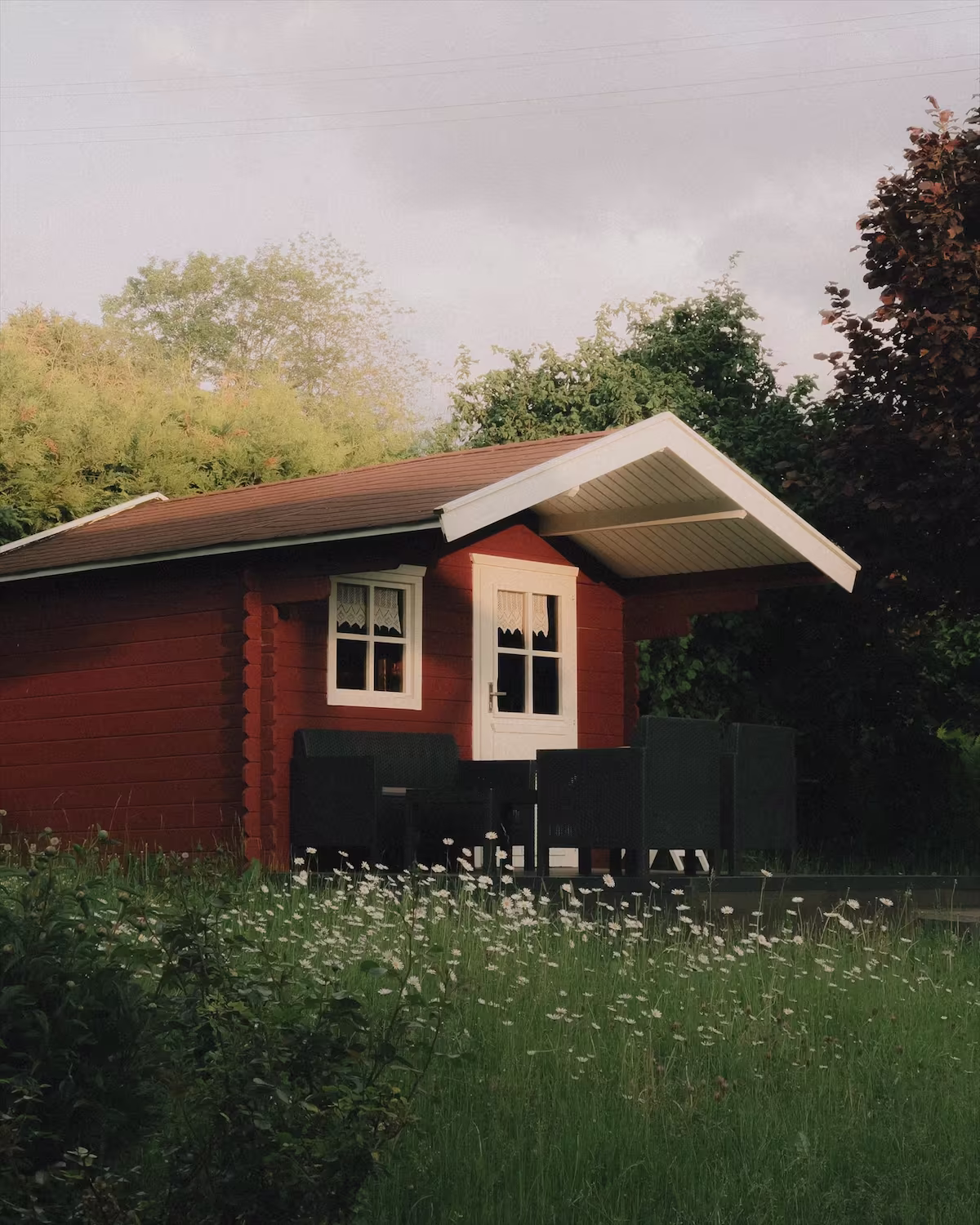 A red wooden cabin in a summer garden, Original